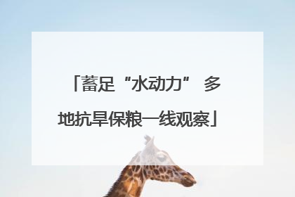 蓄足“水动力” 多地抗旱保粮一线观察