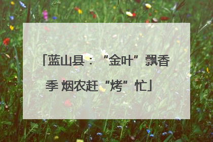 蓝山县：“金叶”飘香季 烟农赶“烤”忙