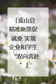 蓝山县：精准施策促就业 实现企业和学生“双向奔赴”