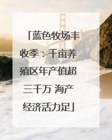 蓝色牧场丰收季：千亩养殖区年产值超三千万 海产经济活力足