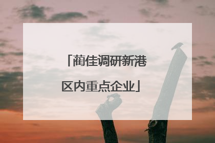 蔺佳调研新港区内重点企业