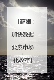 薛刚：加快数据要素市场化改革