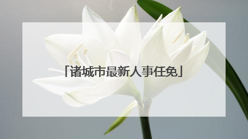 诸城市最新人事任免