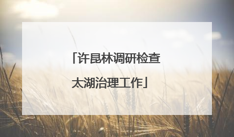 许昆林调研检查太湖治理工作