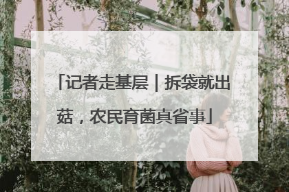 记者走基层｜拆袋就出菇，农民育菌真省事