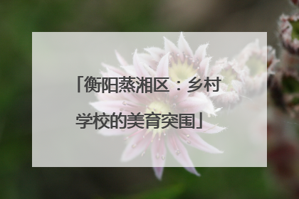 衡阳蒸湘区：乡村学校的美育突围