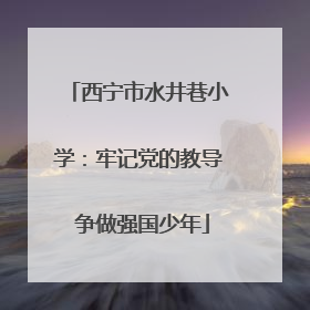 西宁市水井巷小学：牢记党的教导 争做强国少年