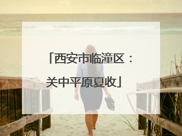 西安市临潼区：关中平原夏收