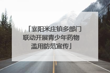 襄阳米庄镇多部门联动开展青少年药物滥用防范宣传