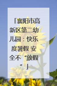 襄阳市高新区第二幼儿园：快乐度暑假 安全不“放假”