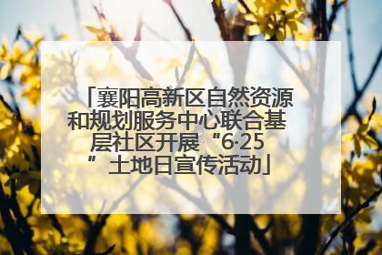 襄阳高新区自然资源和规划服务中心联合基层社区开展“6·25”土地日宣传活动