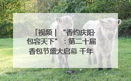 视频｜“香约庆阳·包容天下”：第二十届香包节盛大启幕 千年非遗香飘世界