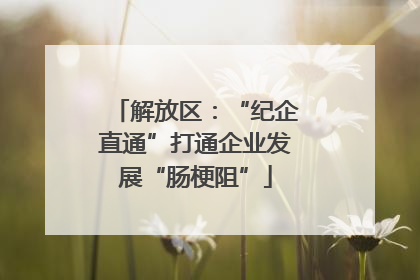 解放区：“纪企直通”打通企业发展“肠梗阻”