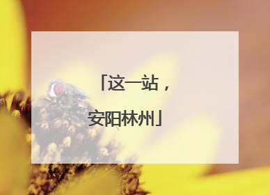 这一站，安阳林州