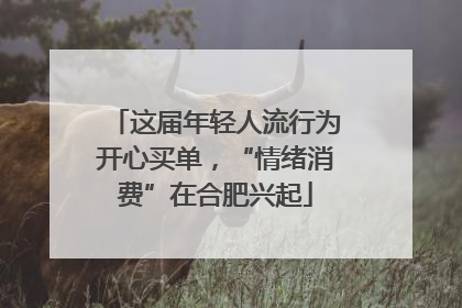 这届年轻人流行为开心买单，“情绪消费”在合肥兴起