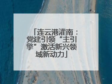 连云港灌南：党建引领“主引擎”激活新兴领域新动力