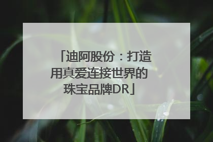 迪阿股份：打造用真爱连接世界的珠宝品牌DR