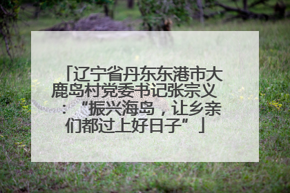 辽宁省丹东东港市大鹿岛村党委书记张宗义：“振兴海岛，让乡亲们都过上好日子”