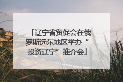 辽宁省贸促会在俄罗斯远东地区举办“投资辽宁”推介会