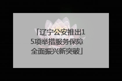 辽宁公安推出15项举措服务保障全面振兴新突破