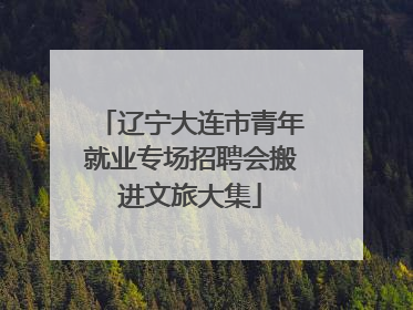 辽宁大连市青年就业专场招聘会搬进文旅大集
