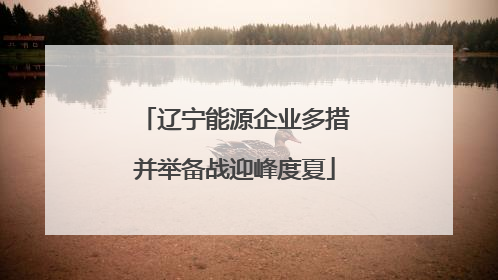 辽宁能源企业多措并举备战迎峰度夏