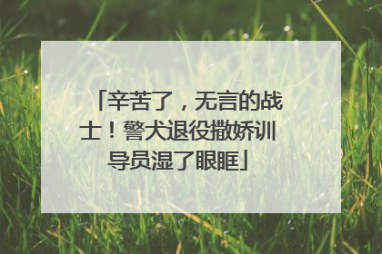 辛苦了，无言的战士！警犬退役撒娇训导员湿了眼眶