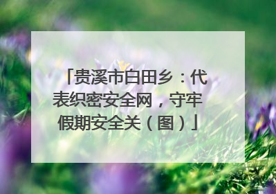贵溪市白田乡：代表织密安全网，守牢假期安全关（图）