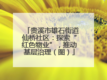 贵溪市雄石街道仙桥社区：探索“红色物业”，推动基层治理（图）