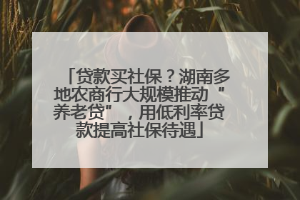 贷款买社保？湖南多地农商行大规模推动“养老贷”，用低利率贷款提高社保待遇