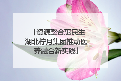 资源整合惠民生 湖北柠月集团推动医养融合新实践