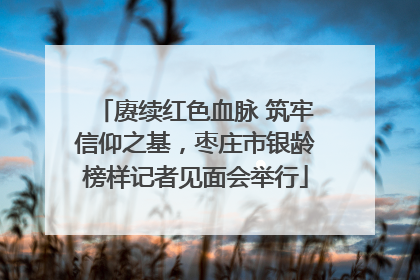 赓续红色血脉 筑牢信仰之基，枣庄市银龄榜样记者见面会举行
