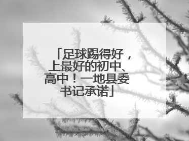足球踢得好，上最好的初中、高中！一地县委书记承诺