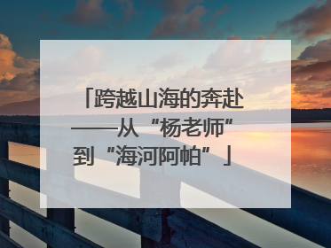 跨越山海的奔赴——从“杨老师”到“海河阿帕”