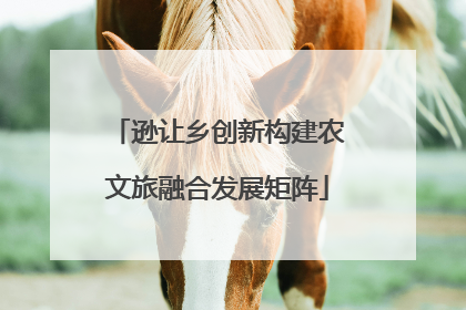 逊让乡创新构建农文旅融合发展矩阵