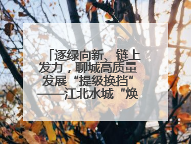 逐绿向新、链上发力，聊城高质量发展“提级换挡”——江北水城“焕新”记