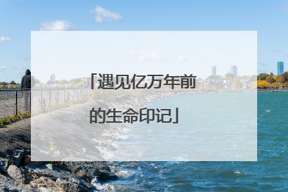 遇见亿万年前的生命印记