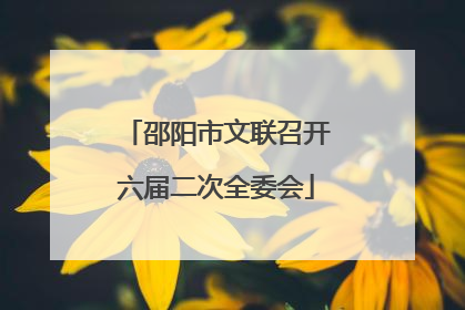邵阳市文联召开六届二次全委会