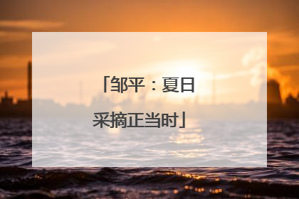 邹平：夏日采摘正当时