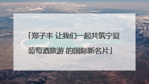 郑子丰 让我们一起共筑宁夏葡萄酒旅游 的国际新名片