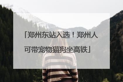 郑州东站入选！郑州人可带宠物猫狗坐高铁