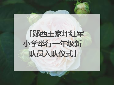 郧西王家坪红军小学举行一年级新队员入队仪式