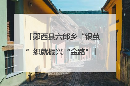 郧西县六郎乡“银茧”织就振兴“金路”
