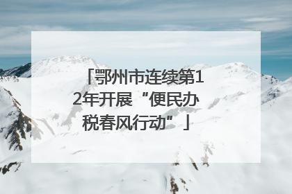 鄂州市连续第12年开展“便民办税春风行动”
