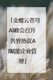 金蝶云苍穹AI峰会召开 各界热议AI赋能企业管理