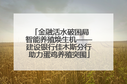 金融活水破困局 智能养殖焕生机——建设银行佳木斯分行助力蛋鸡养殖突围