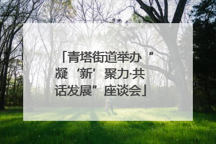 青塔街道举办“凝‘新’聚力·共话发展”座谈会