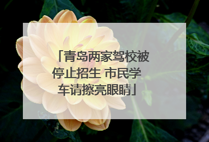 青岛两家驾校被停止招生 市民学车请擦亮眼睛