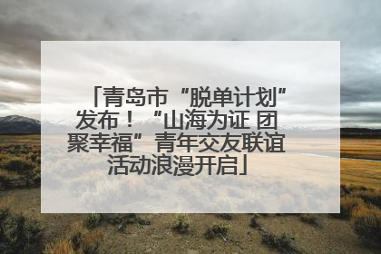 青岛市“脱单计划”发布！“山海为证 团聚幸福”青年交友联谊活动浪漫开启