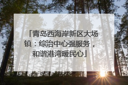 青岛西海岸新区大场镇：综治中心强服务，和谐港湾暖民心